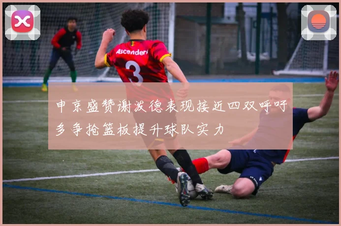 申京盛赞谢泼德表现接近四双呼吁多争抢篮板提升球队实力