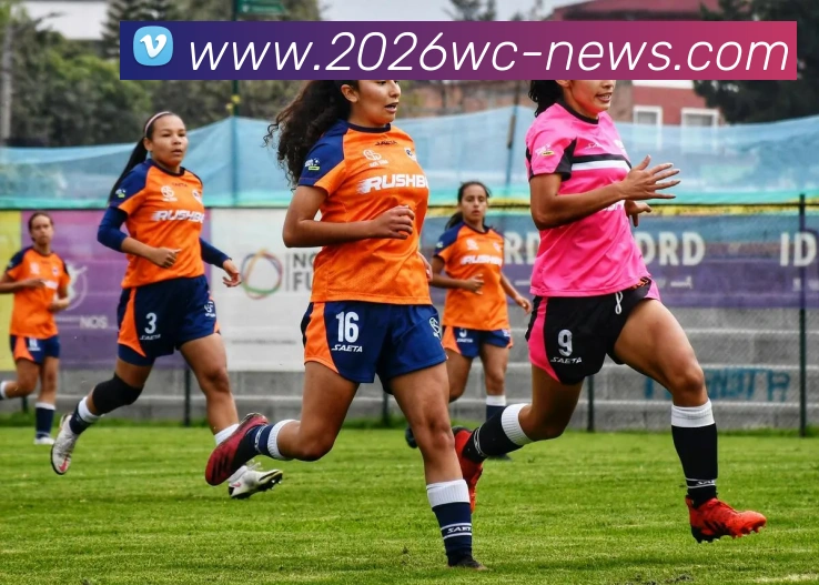 2026世界杯官方平台平台生态图